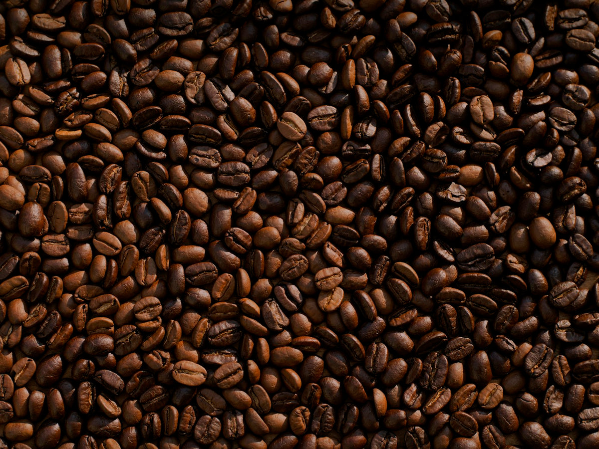 Coffee grinder with freshly ground coffee