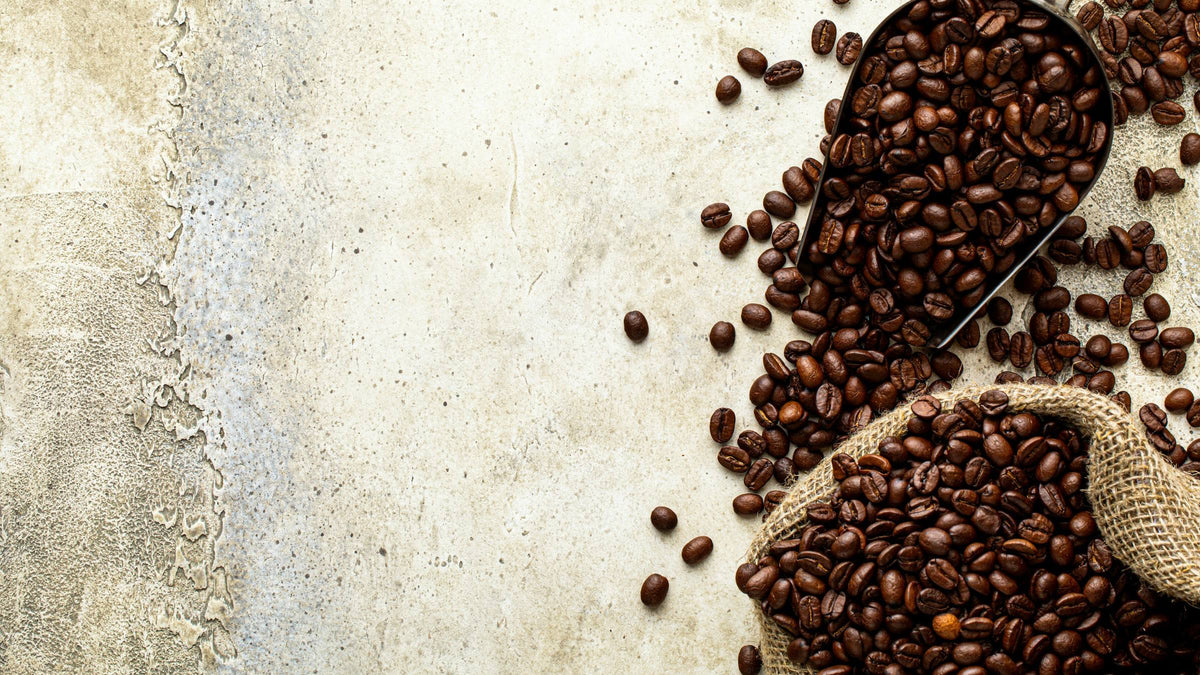 Roasted coffee beans in a bowl