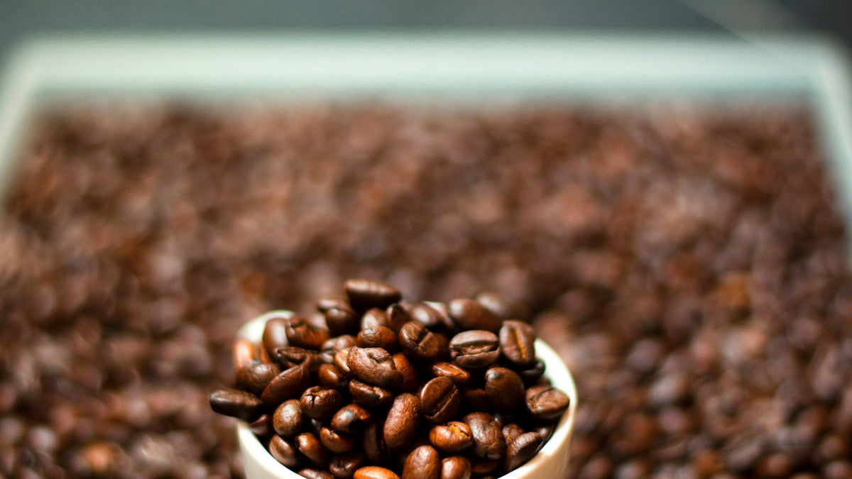 Coffee beans in a cup