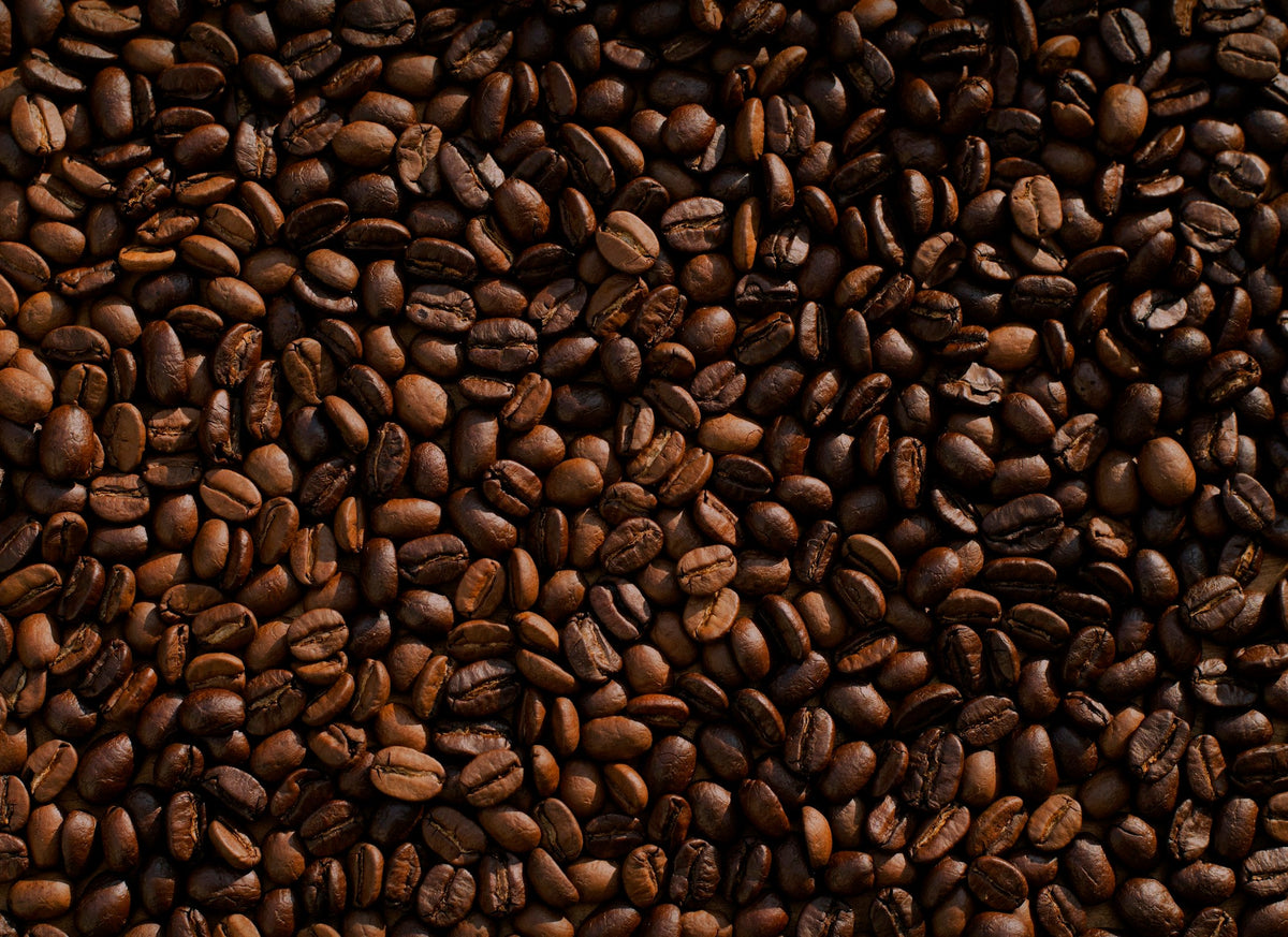 Close up of roasted coffee beans