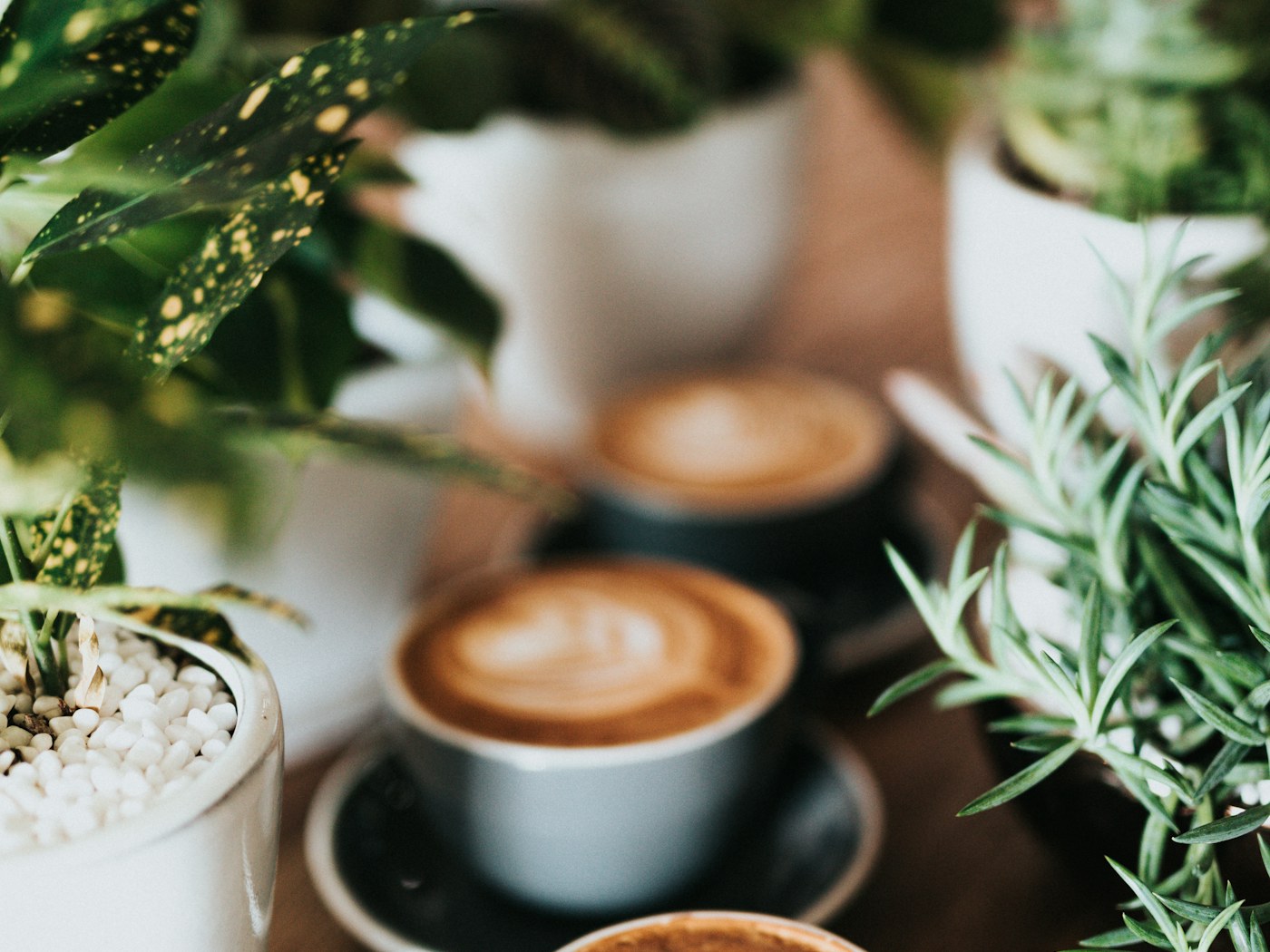 Bowan Island Coffee Beans